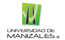 Universidad de manizales